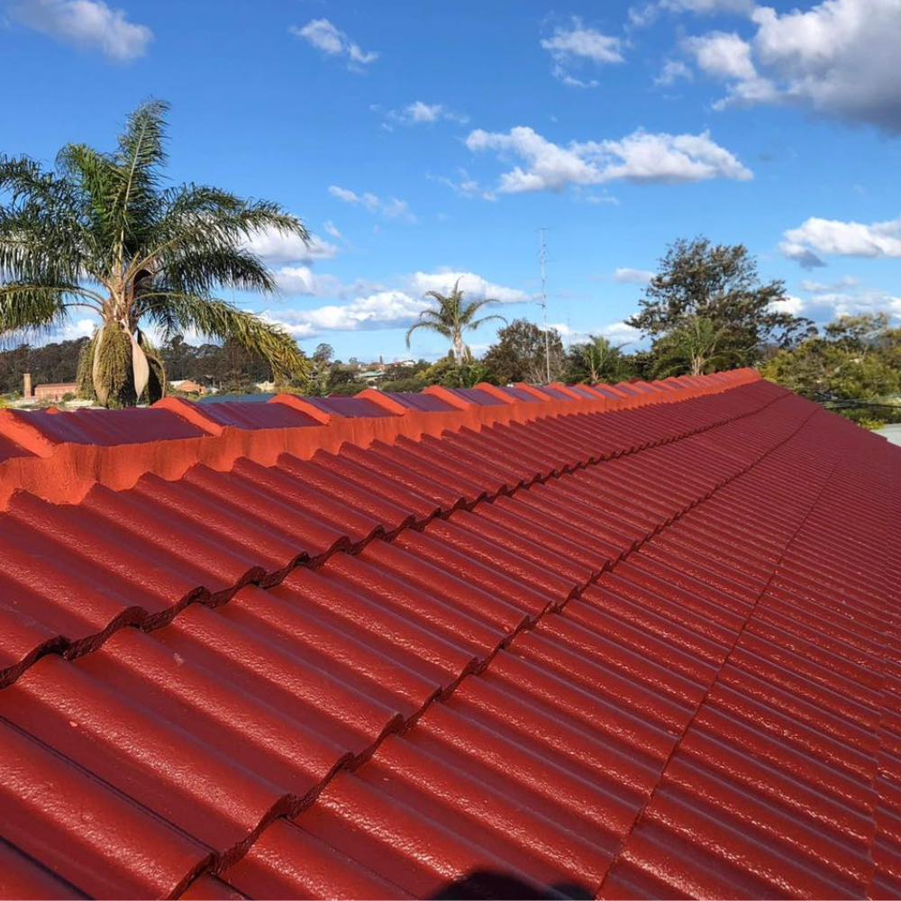 roof leak detection central coast